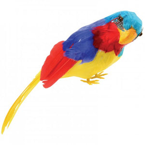 Feather Parrot Toy