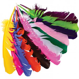 Western Assortment Turkey Feathers Team Spirit (One Bag)