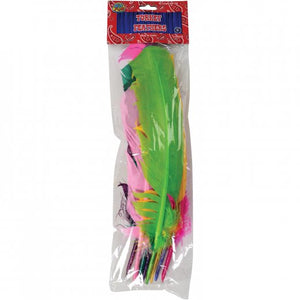 Western Assortment Turkey Feathers Team Spirit (One Bag)