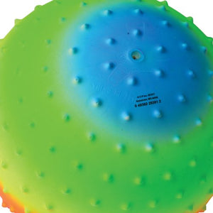 Rainbow Knobby Ball 10 Inch Toy (1 Dozen)