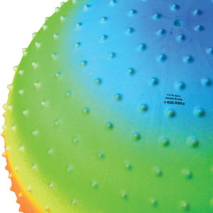 Rainbow Knobby Ball 18 Inch Toy