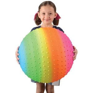 Rainbow Knobby Ball 18 Inch Toy