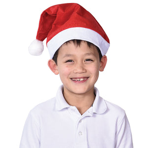 Economy Santa Hats Costume - Adult Size (one dozen)